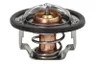 Termostat,lichid racire
