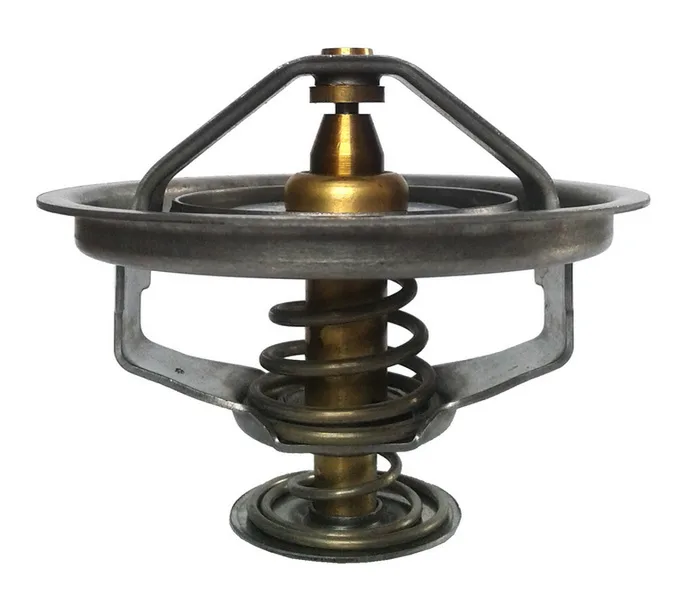 Termostat,lichid racire