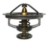 Termostat,lichid racire