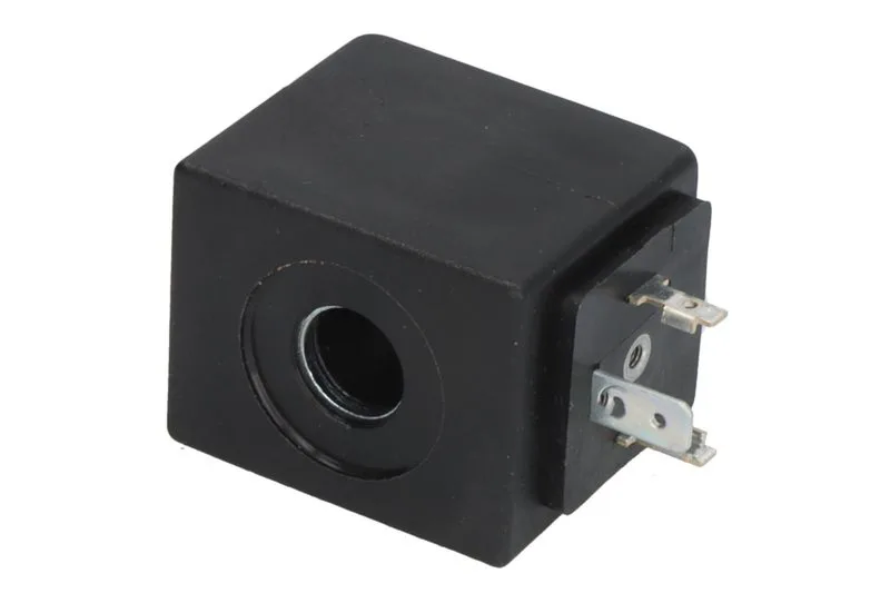 Valva solenoida