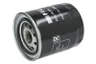 SK48919 Filtru combustibil SF