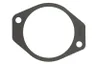 R123676-FP Garnitura bloc motor FP DIESEL