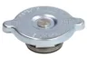750174N Buson, radiator AKS DASIS