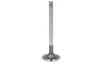 2255499-FP Supapa evacuare FP DIESEL