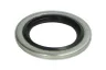 23281-CR Set reparatie, diferential CARRARO