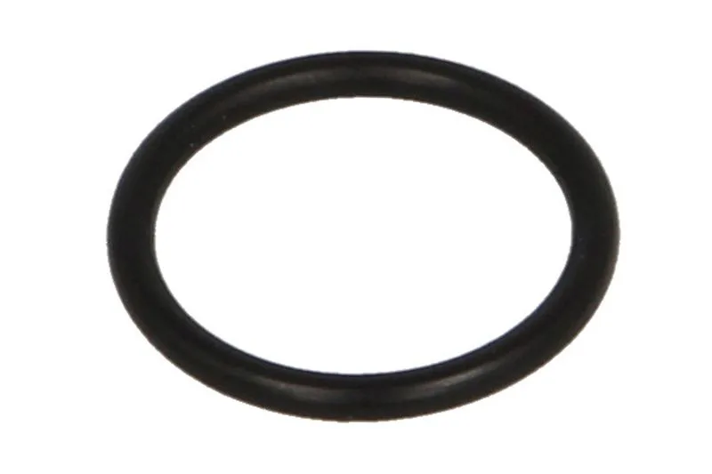 O-ring, camasa cilindru