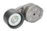 5802025650 Intinzator,curea transmisie FPT