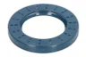 25230-CR Garnitura, diferential CARRARO