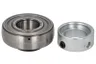 YET 204 /SKF/ Rulment