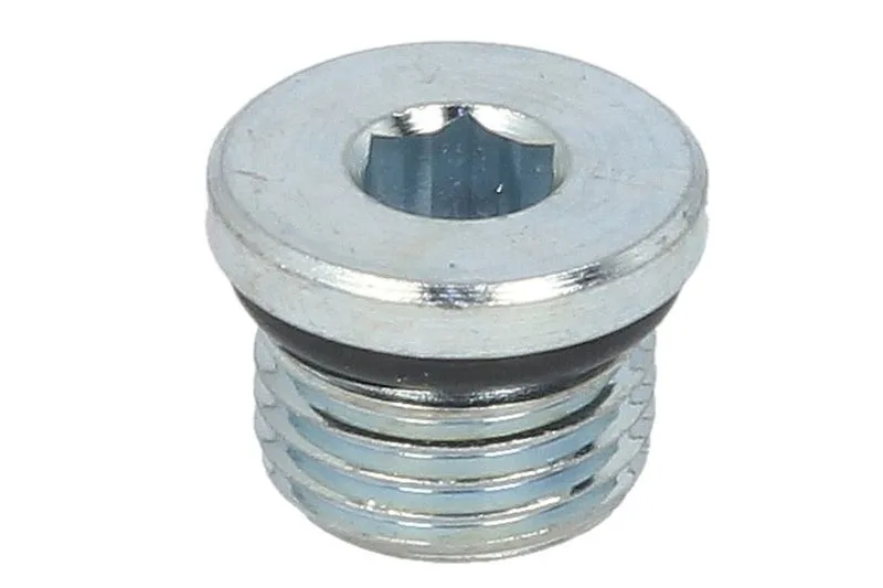 21570 Set reparatie, diferential CARRARO
