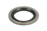 14013067 Garnitura bloc motor SRP