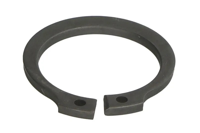 24820 Set reparatie, diferential CARRARO