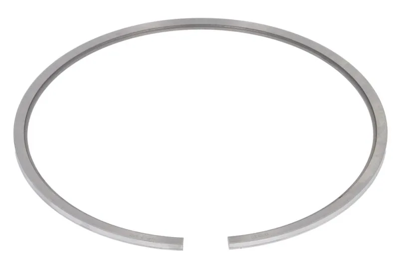 Segment piston