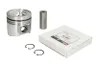 4955416-FP Piston FP DIESEL