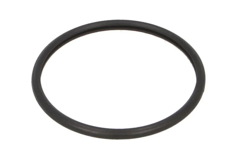 C31858 Garnitura termostat MAHLE