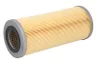 HY10031 Filtru, sistem hidraulic primar SF