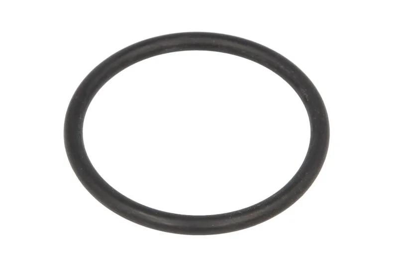 Garnitura termostat