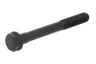VPA3909 Surub chiulasa VAPORMATIC