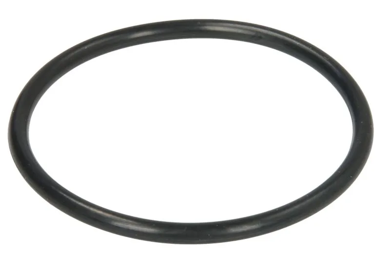Garnitura termostat
