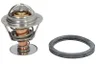 Termostat,lichid racire