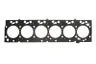 5801418587 Garnitura chiulasa FPT