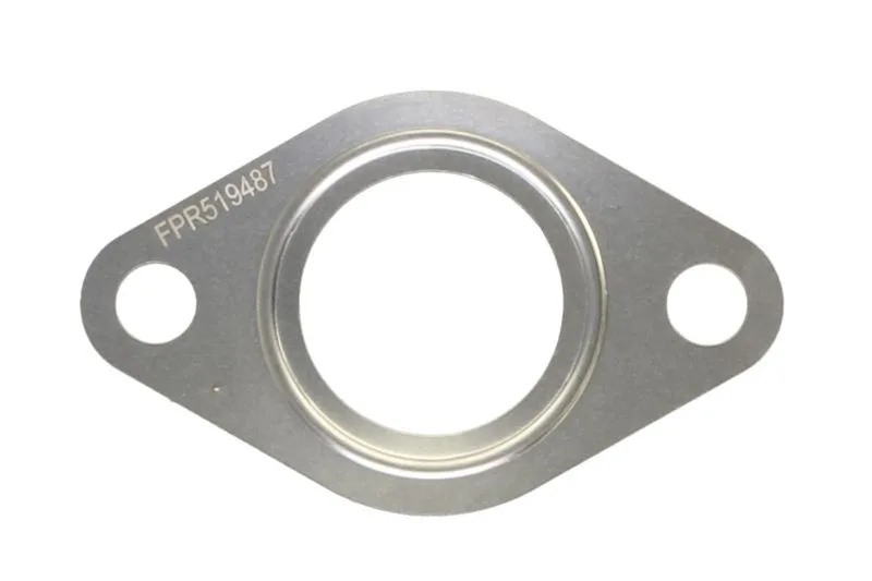 R519487 Garnitura, ventil AGR FP DIESEL