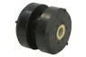 STR-15A184 Suport motor S-TR