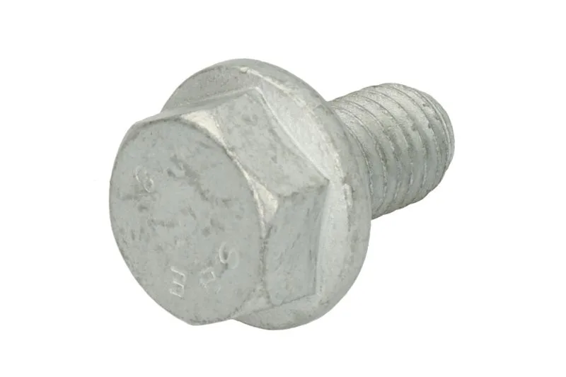 Surub chiulasa