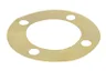 4850222 Placuta de asigurare, articulatie de sarcina/ghidare SRP