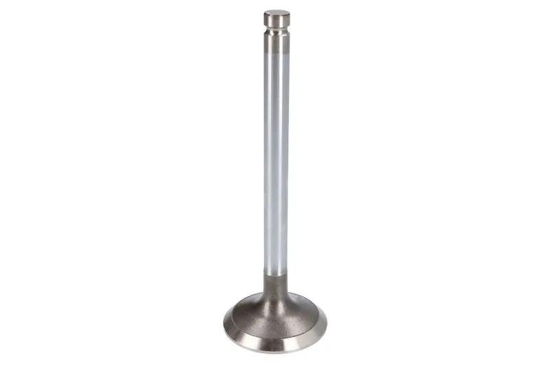 VPA1026 Supapa evacuare VAPORMATIC