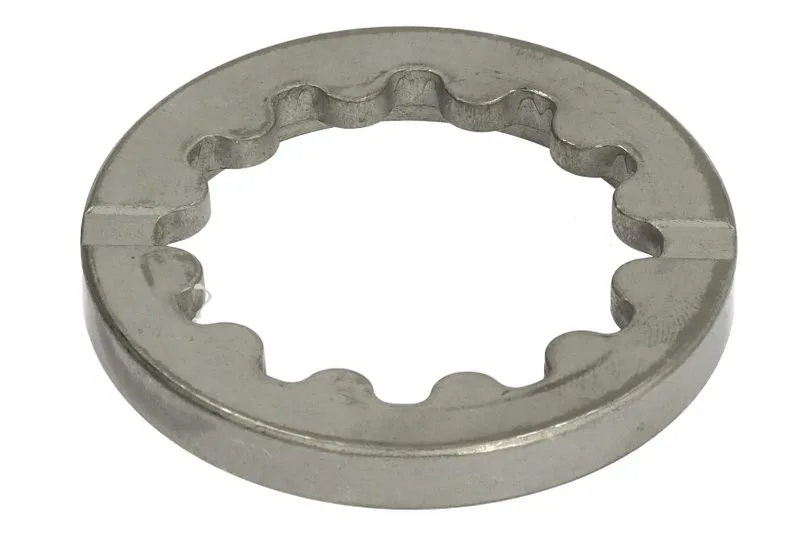 145367 Saiba CARRARO