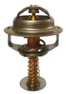 Termostat,lichid racire