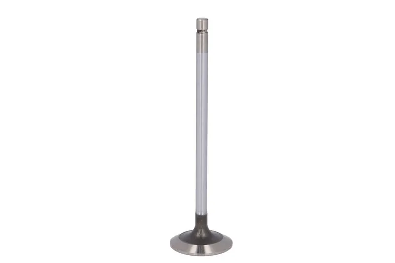 R536135 Supapa admisie FP DIESEL