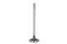R536135 Supapa admisie FP DIESEL