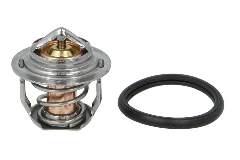 Termostat,lichid racire