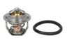 Termostat,lichid racire