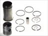 Set raparatii, piston/bucsa cursa cilindru