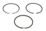 Set segmenti piston
