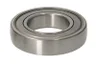 XG209NPPB Rulment SKF