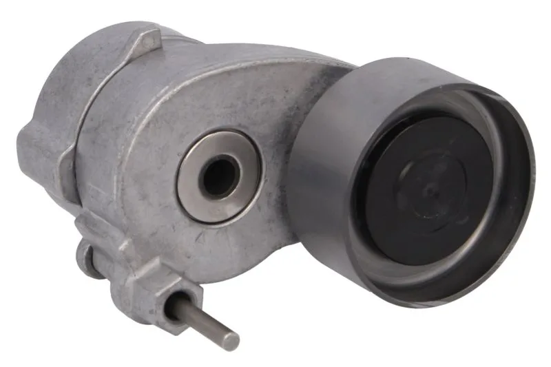 Rola intinzator,curea distributie
