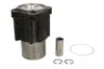 Set raparatii, piston/bucsa cursa cilindru