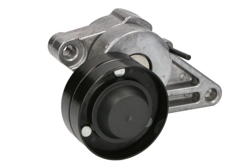 VPE6432 Intinzator curea, curea distributie VAPORMATIC