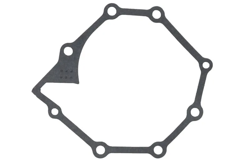 R123417 Garnitura, pompa de apa FP DIESEL
