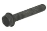 3920779 Surub chiulasa FP DIESEL