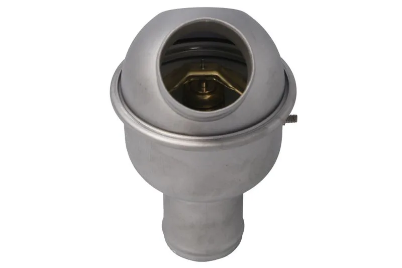 8819078 Termostat,lichid racire FPT