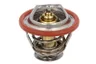 EQ32004907 Termostat,lichid racire MOTIVE
