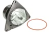 WP-DZ115 Pompa apa THERMOTEC
