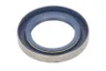ENT020688 Simering, arbore cotit ENGITECH