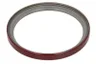 ENT020715 Simering, arbore cotit ENGITECH