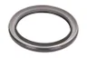 81-10241-00 Simering, arbore cotit REINZ